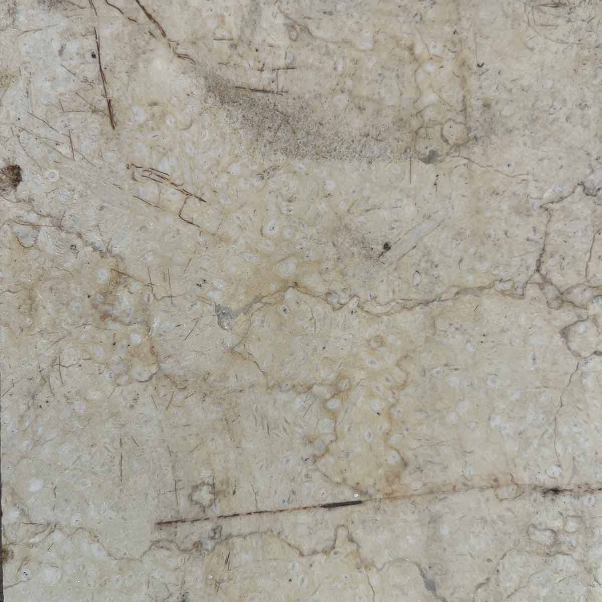 Lastra di Marmo Giallo Atlantide (cod.21)