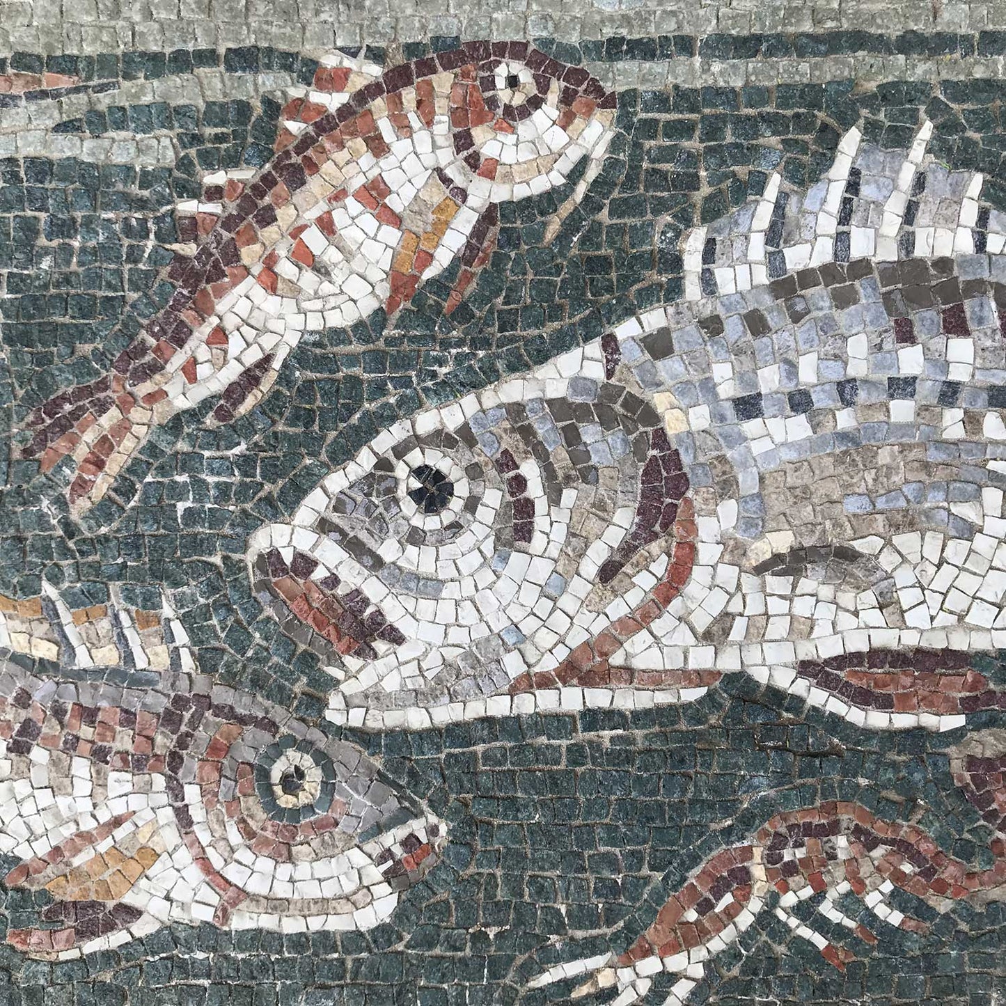 Classical Roman mosaic fish
