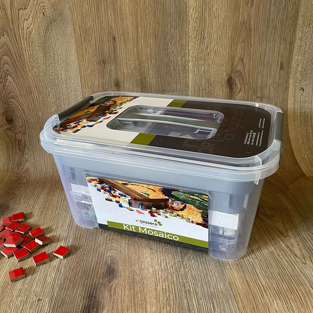 Case with porcelain stoneware ceramic tiles for mosaic and tools ...