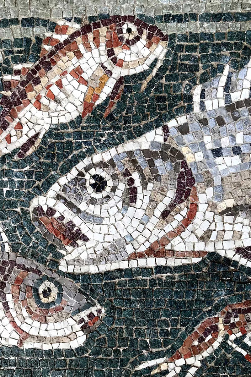 dettaglio mosaico in marmo scena nilotica mosaico con pesci