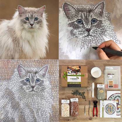 Kit mosaico DIY con la imagen de tu gato