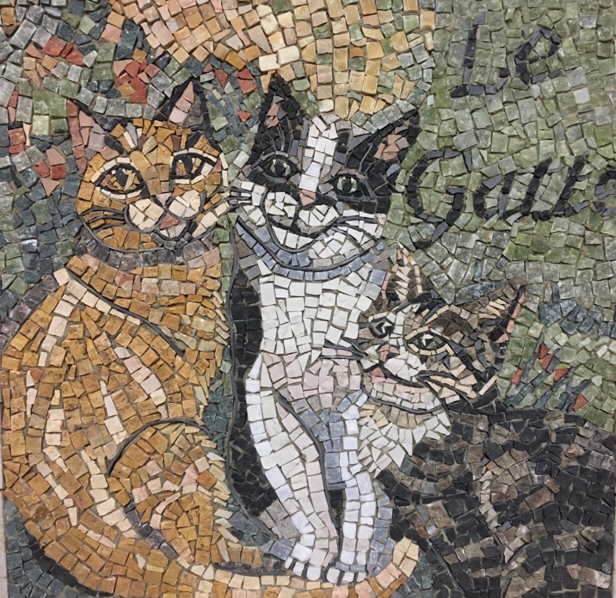 Mosaico di gatti