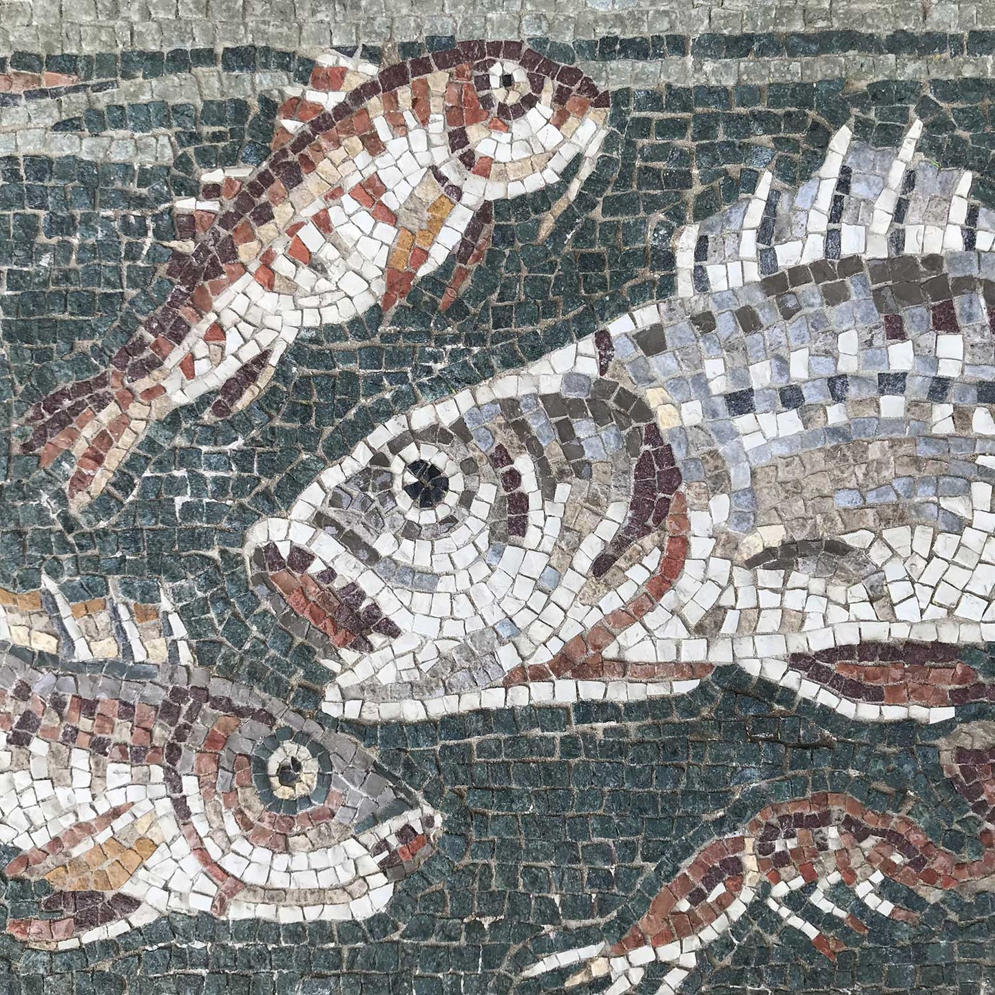 Classical Roman mosaic fish 