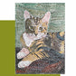 Kit mosaïque TIGER CAT (marbre - technique indirecte)