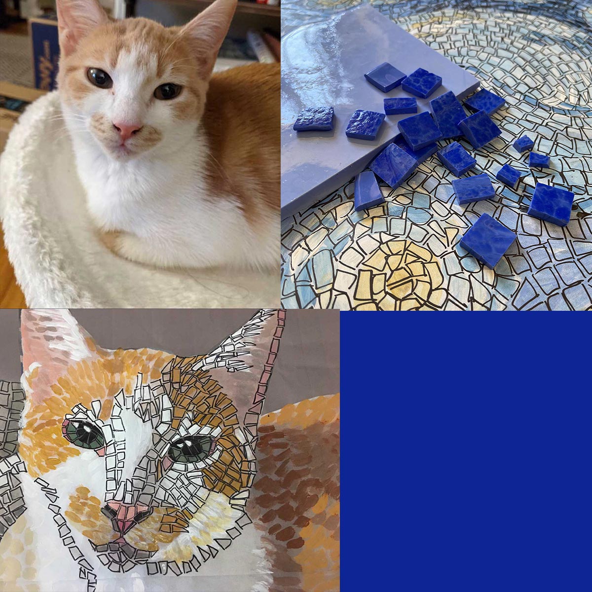 PERSONALIZED CAT mosaic kit (direct technique)